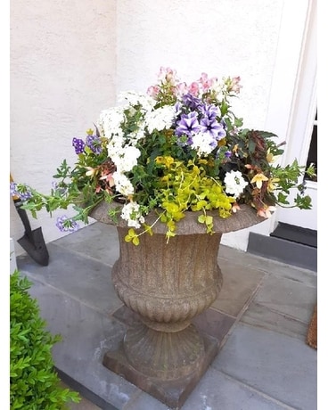 PLANT YOUR OWN PLANTERS