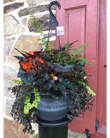 Custom Hanging Basket Custom product
