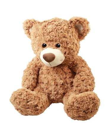 Plush Animal - 15 in Honey Bear Gifts
