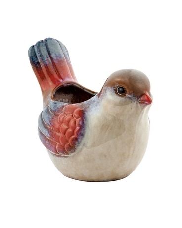Bird - Mourning Dove Gifts