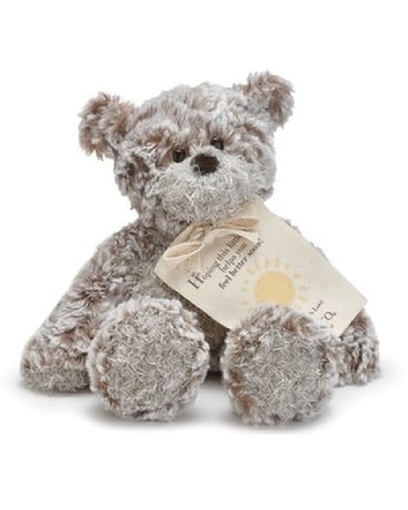Plush Animal - Bear 2 Gifts
