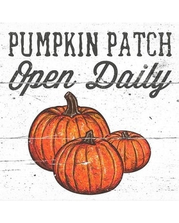 Coaster - Fall 6 Pumpkin Patch Flower Arrangement