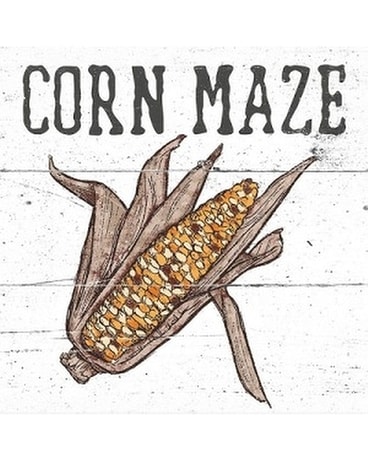 Coaster - Fall 5 Corn Maze Flower Arrangement