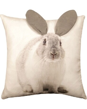 Pillow 3d Rabbit In Meadville Pa Loeffler S Flowers Gifts