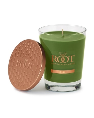 Candle - Root Jar 9 Lg Hosta Gifts