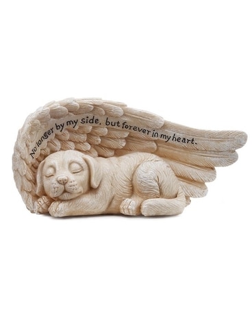 Dog Sleeping in Wing - 3 Gifts