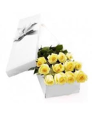 Boxed Yellow Roses Flowers