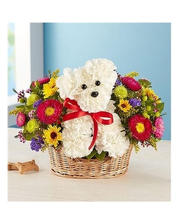 Dog-able Flower Arrangement