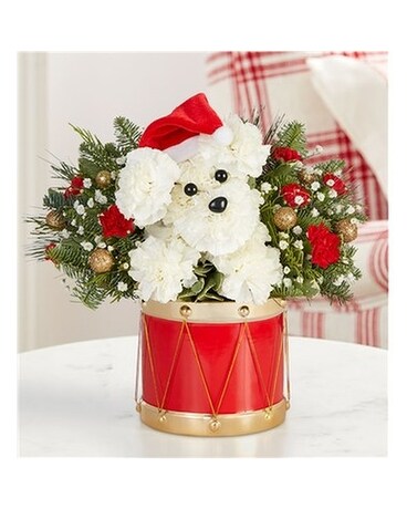 Santa Paws Flower Arrangement