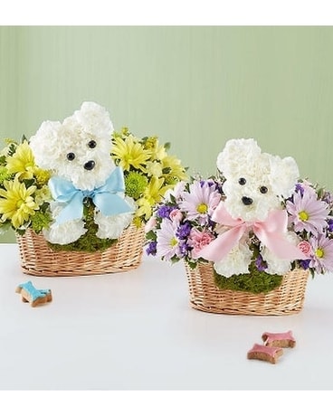 It's a Dog-able Boy or Girl! Flower Arrangement