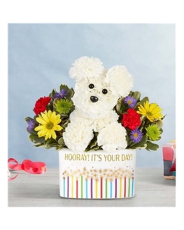 Party Pooch Flower Arrangement