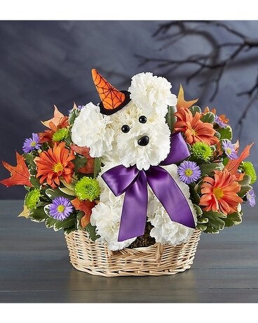 Witchy Pooch Flower Arrangement
