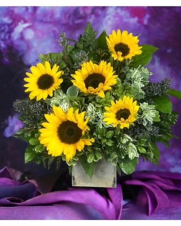 Sunflower sunrise Flower Arrangement