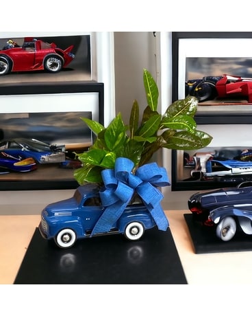 Ford Truck Dish Garden Plant