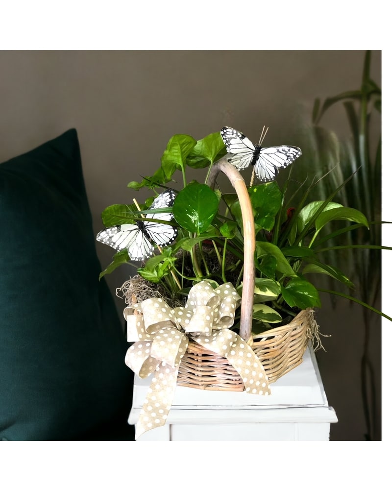 Sympathy Plants Delivery Greentown PA - Wallenpaupack Floral and Gifts