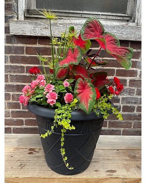 oversized plant pots Bibendum Large Planter by Campania International Aged Limestone main image 1