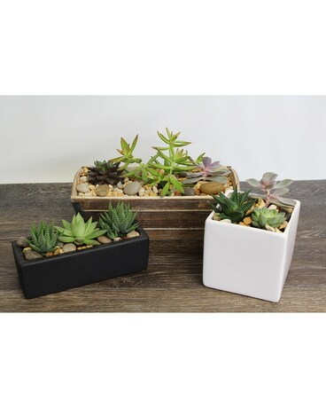 Succulent Gardens Flower Arrangement