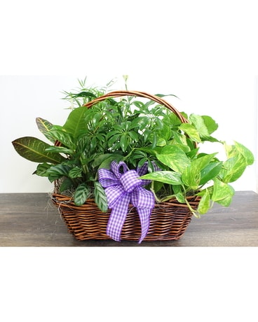 Large Planter Basket