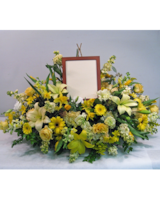 Standard size, 24 inches height and 42 inches wide.