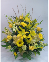 Standard size, 27 inches height and 27 inches wide.