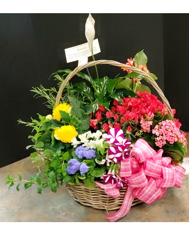 Phoebe French Basket Basket Arrangement