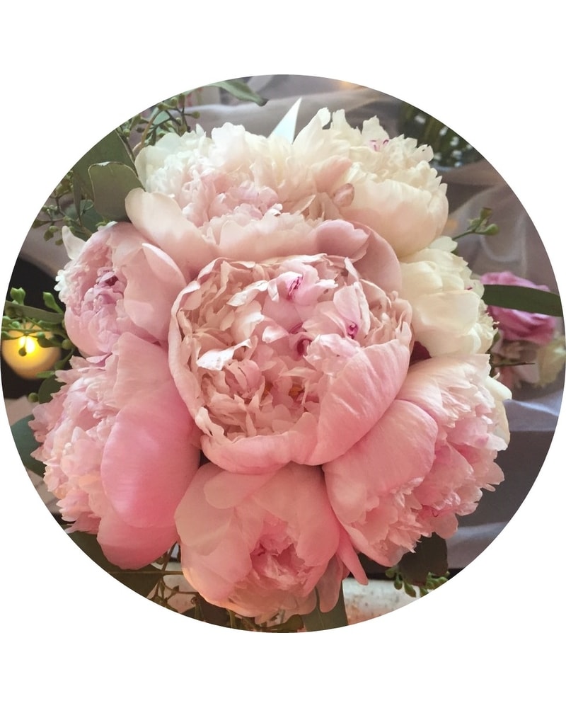 Perfect Peonies in Allentown PA - Phoebe Floral Shop & Greenhouse