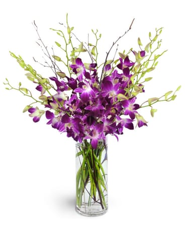 You're My Forever Orchids by Rothe's Flower Arrangement