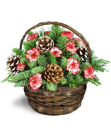 Pretty Peppermint Patty! Flower Arrangement