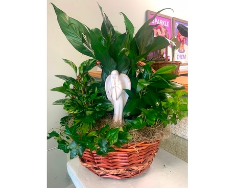 Sympathy Plants Flower Arrangement