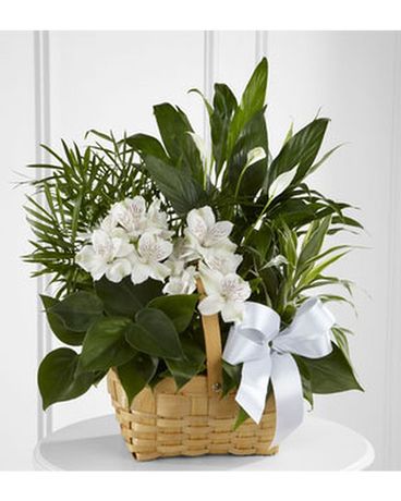 Peaceful Serenity Flower Basket Flower Arrangement