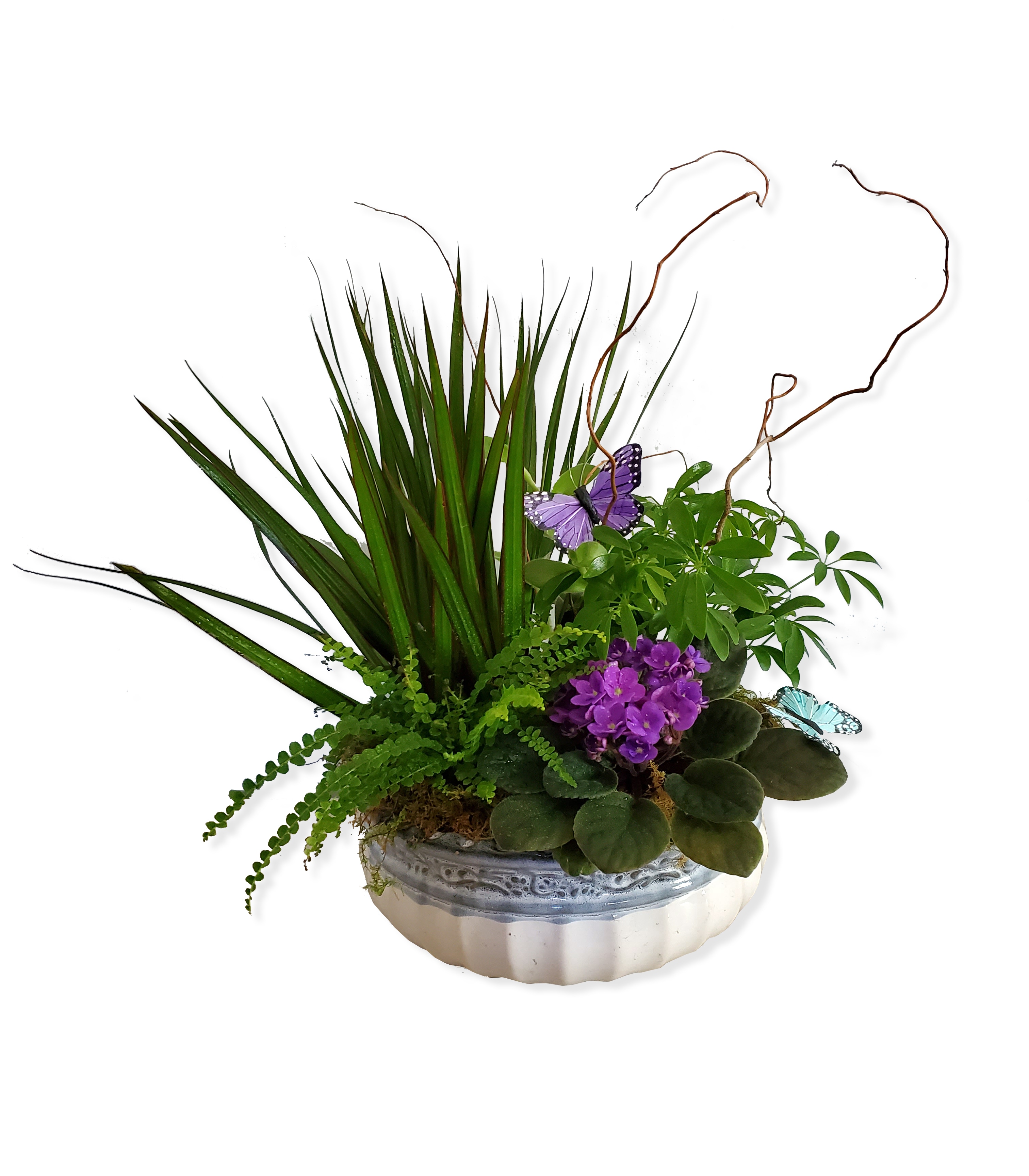 Sympathy Plants Delivery Memphis TN Lynn Doyle Flowers & Events