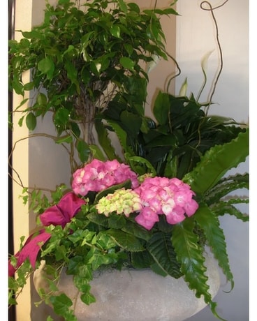 Extra Large Ceramic Euro – 329-08 Plant