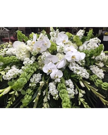 Simplistic Green and White orchid cover – 366 Funeral Casket Spray Flowers