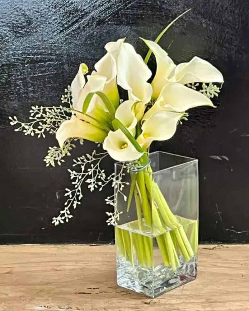 Calla Simplicity 60301 in Memphis TN - Holliday Flowers, Inc.