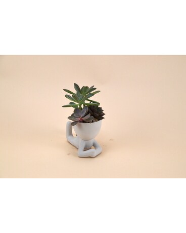 The Ed Planter Plant