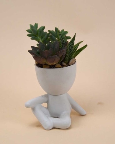 The Ralph Planter Plant