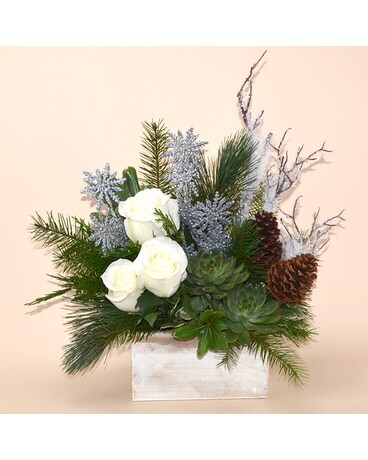McShan Frosted Christmas Arrangement Flower Arrangement