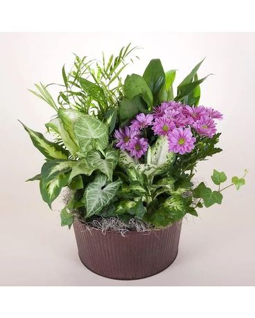 McShan Traci Garden Flower Arrangement