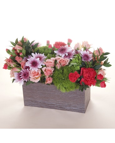 Shop by Flowers Delivery in Dallas, TX | McShan Florist