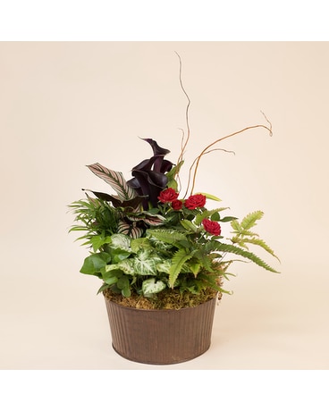 McShan Love Blooms Planter Plant