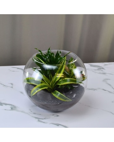 Maton Cardiff】 ビクトリアンのフルーツスタンド Maton Cardiff