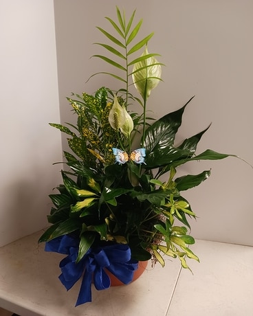 Large Dish Garden Flower Arrangement