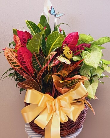 Plants Aplenty Flower Arrangement