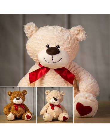 Friendly Heart Bear Gifts