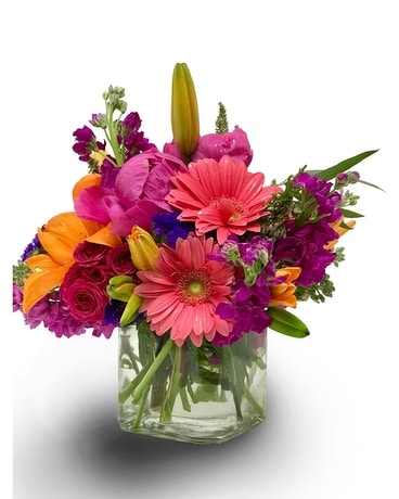 Granbury Flowers & Gifts - Springtime Compact Dazzler Flower Arrangement