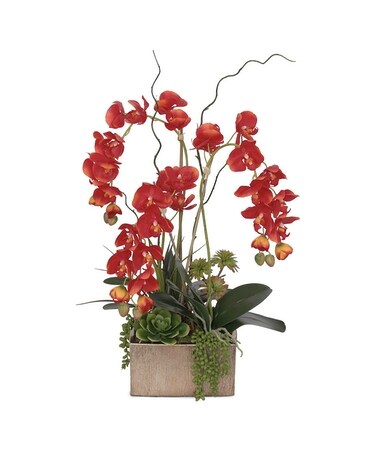 Granbury Flowers & Gifts - Faux Red Phalaenopsis Orchid Custom product