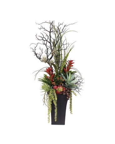 Granbury Flowers & Gifts - Tall Contemporary Succulents Custom product