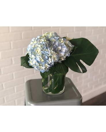 Granbury Flowers & Gifts - Blue Cloud Flower Arrangement