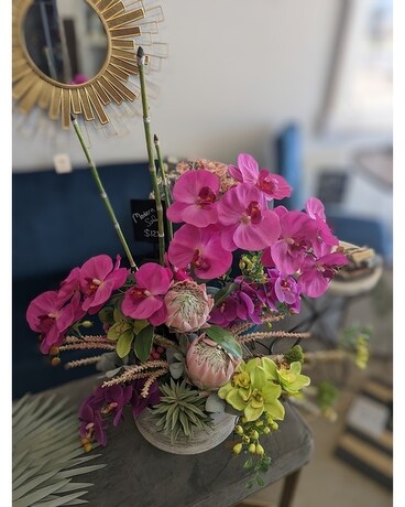 Granbury Flowers & Gifts - Urban Orchid Silk Planter Flower Arrangement