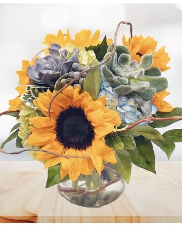 Granbury Flowers & Gifts - Sunflowers and Succulents Flower Arrangement